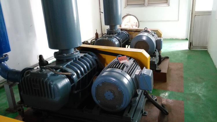 羅茨鼓風(fēng)機(jī)