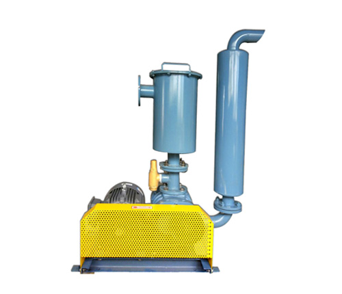 真空式羅茨鼓風(fēng)機(jī)