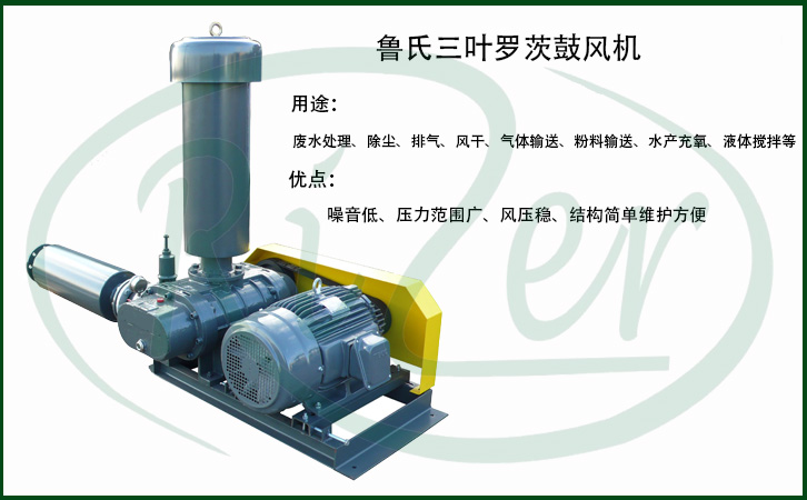三葉羅茨風(fēng)機(jī)維修與購買請(qǐng)找上海瑞柘