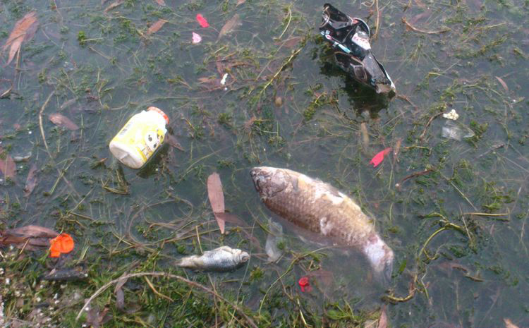 圖四：現(xiàn)在的某些河流