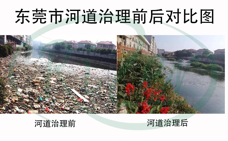 城市河道生態(tài)治理技術(shù)的關(guān)鍵在哪兒
