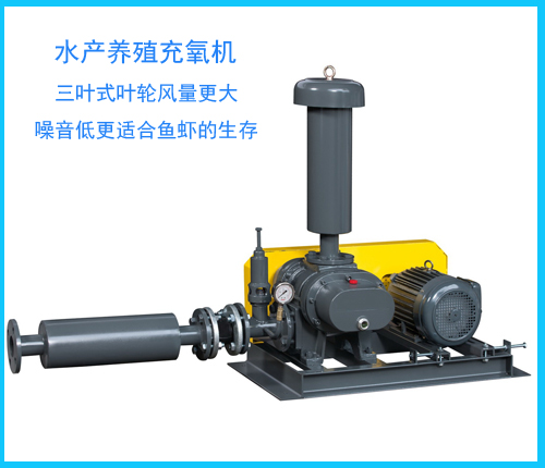 羅茨風(fēng)機(jī)增氧