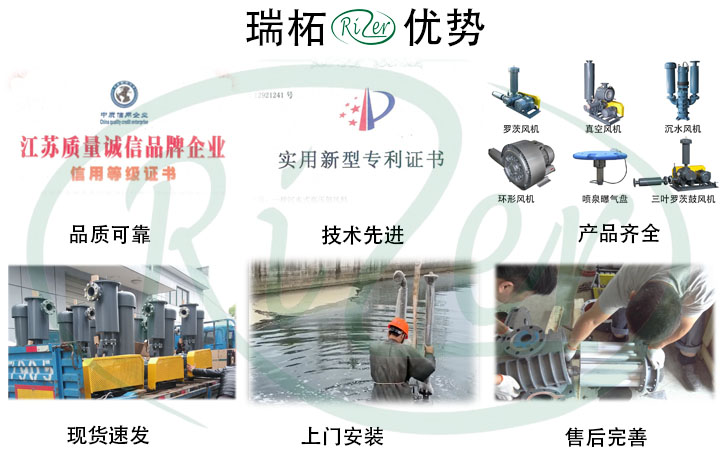上海廠家直銷魯氏牌三葉羅茨鼓風(fēng)機
