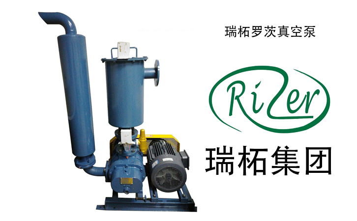 瑞柘羅茨真空泵實(shí)拍 瑞柘羅茨真空泵實(shí)拍