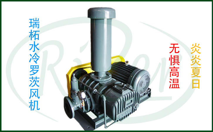 羅茨真空泵高溫