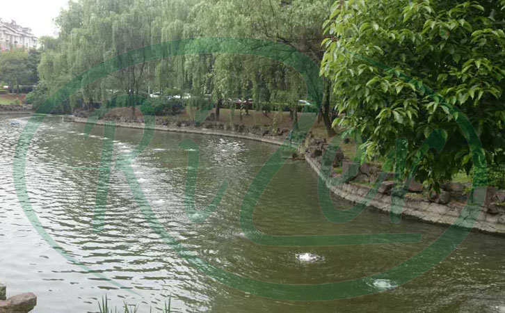 沉水式羅茨鼓風(fēng)機(jī)的缺點