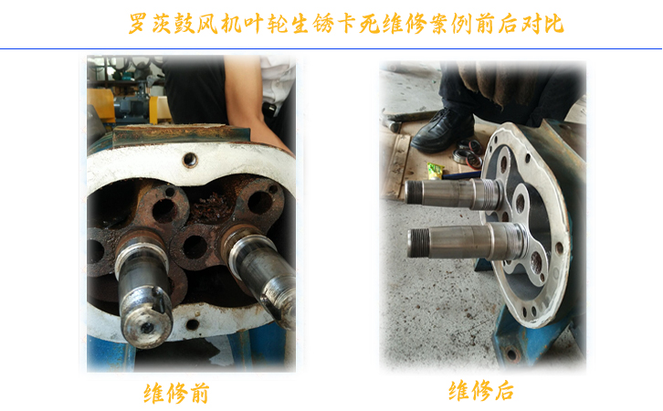 羅茨風(fēng)機(jī)維修哪家好 羅茨風(fēng)機(jī)維修哪家好