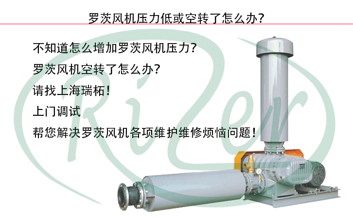 瑞柘羅茨風(fēng)機(jī)