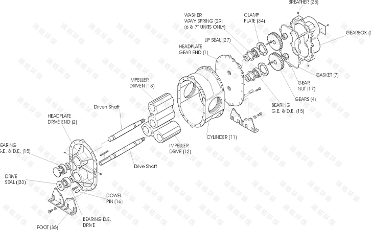 羅茨鼓風(fēng)機(jī)詳細(xì)結(jié)構(gòu)拆解圖 羅茨鼓風(fēng)機(jī)詳細(xì)結(jié)構(gòu)拆解圖