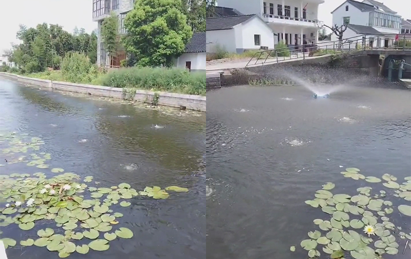 2022年八月浙江河道治理工程選用了瑞柘噴泉曝氣機