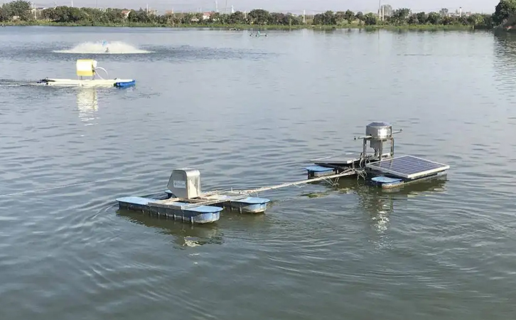 高溫不一定是造成魚蝦蟹死亡的罪魁禍首