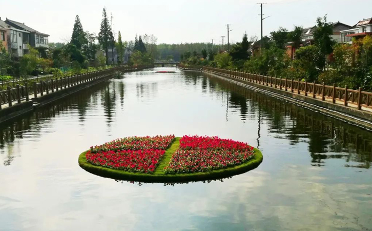 為什么推薦大型水產(chǎn)養(yǎng)殖戶選用羅茨風(fēng)機(jī)增氧